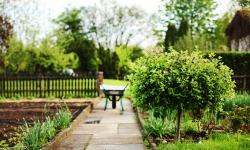 Nie ułatwiaj zadania złodziejowi: chroń swoją działkę