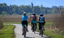 Coraz chętniej siadamy na rower, ale czy znamy przepisy?