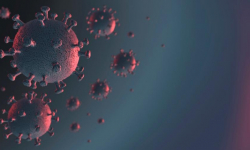 Nauczanie zdalne w średzkich szkołach ponadgimnazjalnych