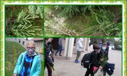 Czarodziejskie drzewo