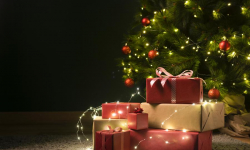 Wójt Gminy Udanin Wojciech Płaziuk ogłasza konkurs "Zimowy krajobraz Gminy Udanin"