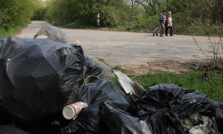 Powiatowe Centrum Kultury Alternatywnej i Muzeum Regionalne zaprasza na sprzątanie lasu