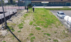 Przy CeKA powstanie ogród jakiego w Środzie Śląskiej jeszcze nie było