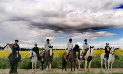 Cudze chwalimy, pochwalmy i nasze - cz. 6 Stajnia Ardena