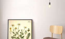 Plakaty z modnym motywem botanicznym – ciekawe pomysły na aranżację