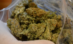 22-letni mężczyzna w swoim pokoju przechowywał marihuanę. Grożą mu 3 lata pozbawienia wolności