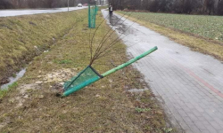 Kolejny akt wandalizmu. Ofiarą drzewka przy drodze powiatowej