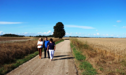 Droga gruntowa Jakubkowice - Czechy oddana do użytku