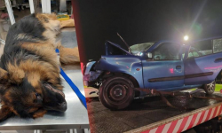 Śmiertelny wypadek na DK5 w pobliżu węzła Kostomłoty. Kierowca Clio poniósł śmierć na miejscu