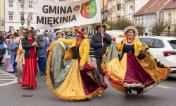 Powiatowy Dzień Seniora. Była barwna parada i występy artystyczne