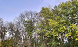 „Czy Środa Śląska i okolica będzie zabudowana fabrykami?”