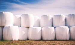 Usuwanie foli rolniczych i innych odpadów rolniczych – nabór wniosków na 2023 rok