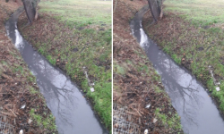 Bezsilność mieszkańca, czyli walka o ścieki w starym korycie Średzkiej Wody