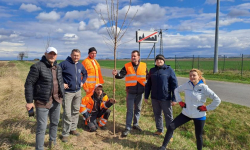 Wiosnę przywital wiosenną akcją nasadzeń