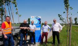 Nowe nasadzenia przy ścieżce rowerowej Środa Śląska - Ciechów