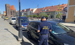 „Postój i zatrzymanie”. Straż Miejska podsumowuje majową akcję