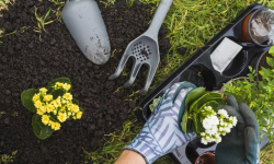 Bezpłatne warsztaty ogrodnicze w Powiatowym Centrum Kultury Alternatywnej w Środzie Śląskiej