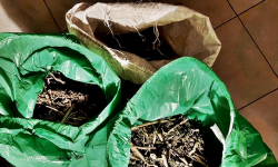 Posiadali w mieszkaniu 7 kilogramów narkotyków. Grozi im łącznie do 12 lat pozbawienia wolności