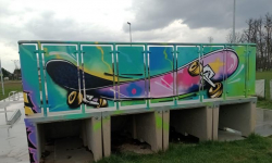 Bazgroły na skate parku zakryte stylowym graffiti. Akcja - renowacja w Lutyni