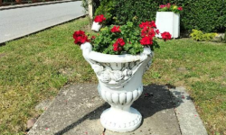 Doniczki znikają z ulic – kto stoi za tą bezczelnością?