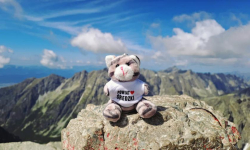 Konkurs fotograficzny i rowerowe wyzwanie czas rozpocząć!