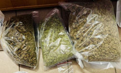 Policjanci przechwycili narkotyki i zatrzymali sprawcę kradzieży – sąd zastosował areszt