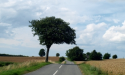 Droga powiatowa tylko dla ruchu osobowego