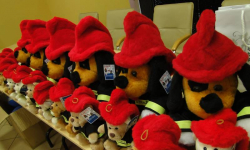 Wiedza pożarnicza nagrodzona