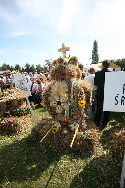 Dożynki Wojewódzkie okiem Mariusza Chmielowca