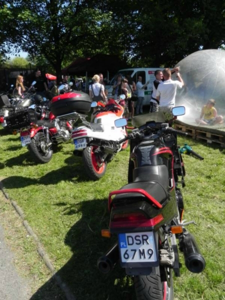 V Charytatywny Bajkowy Piknik Olimpijski 