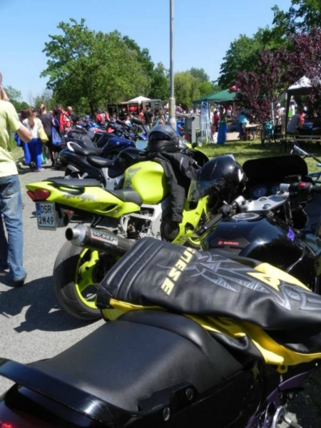 V Charytatywny Bajkowy Piknik Olimpijski 