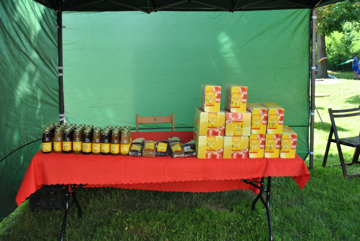 Festyn Zdrowia w Środzie Śląskiej