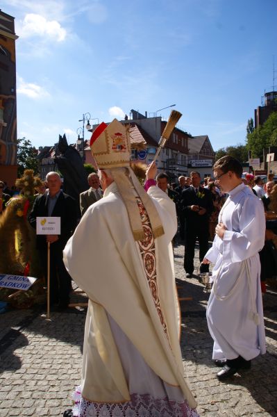 eMKa/Express-Miejski.pl