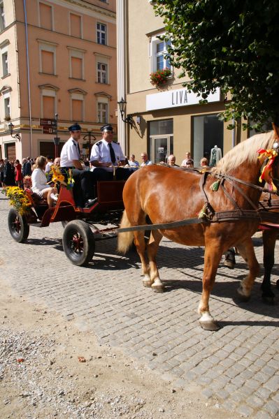 eMKa/Express-Miejski.pl