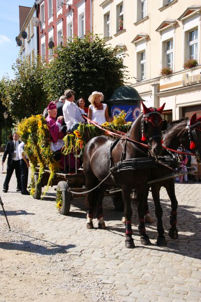 eMKa/Express-Miejski.pl