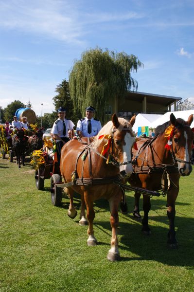 eMKa/Express-Miejski.pl