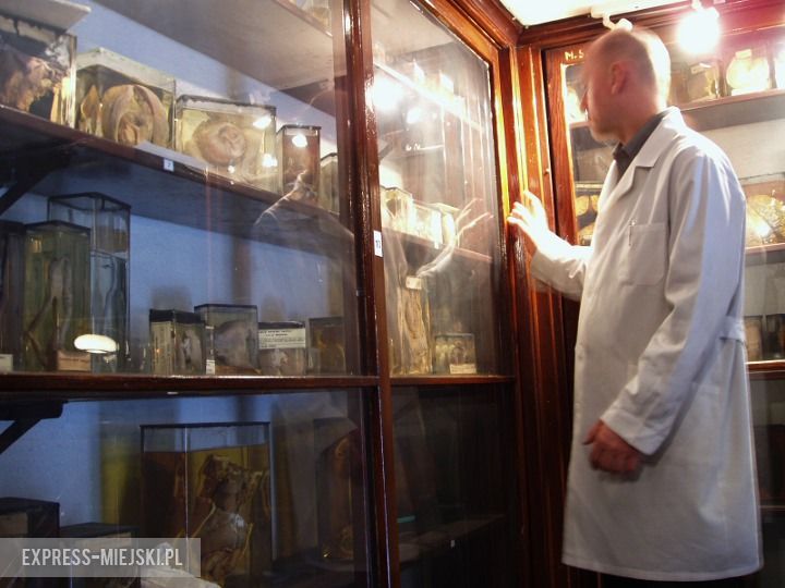 zdjęcia ilustracyjne