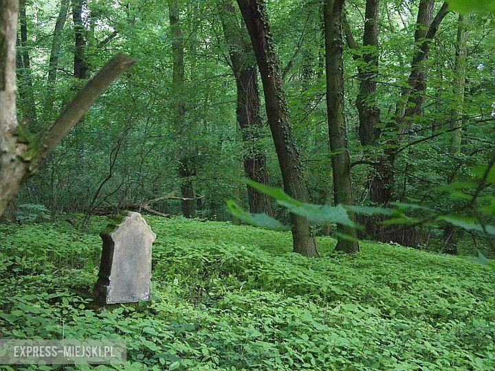 Tak dziś wygląda cmentarz