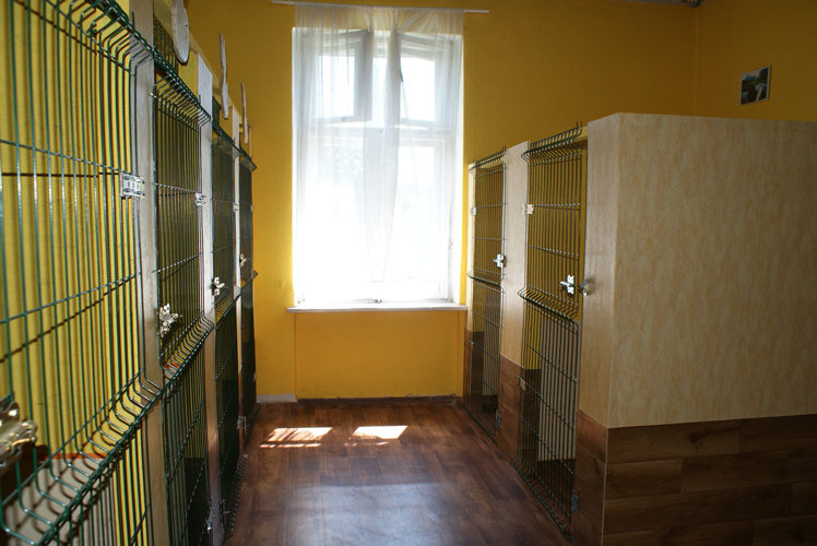 Hotel dla zwierząt "Pankracy"