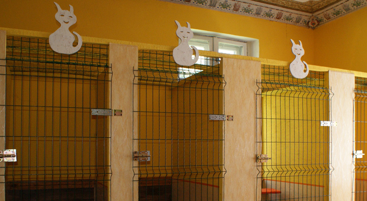 Hotel dla zwierząt "Pankracy"