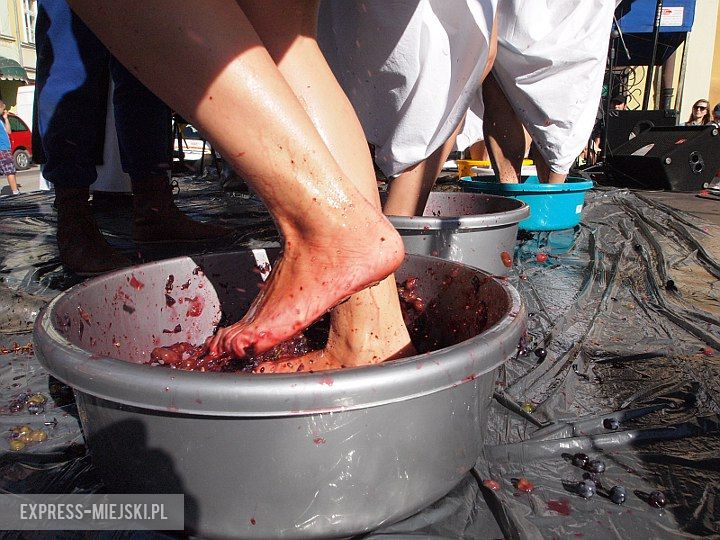 Święto Wina w Środzie Śląskiej 