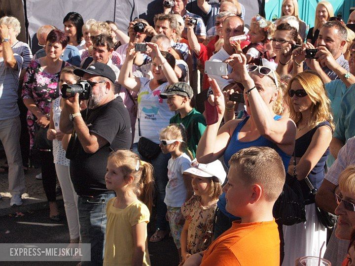 Święto Wina w Środzie Śląskiej 