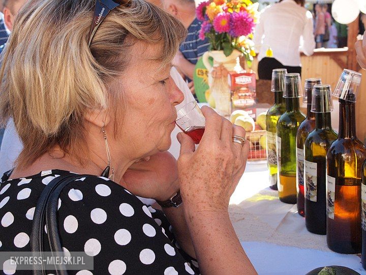 Święto Wina w Środzie Śląskiej 