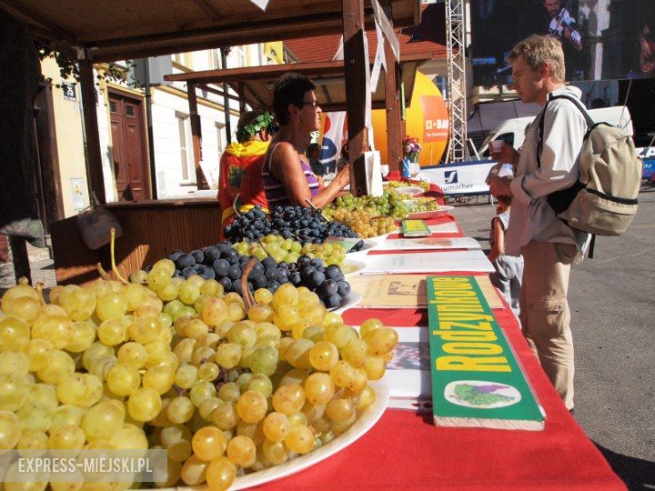Święto Wina w Środzie Śląskiej 