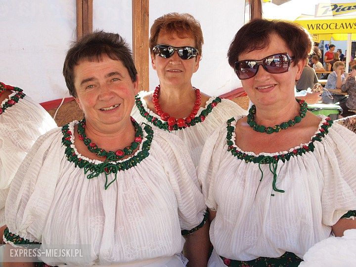 Święto Wina w Środzie Śląskiej 