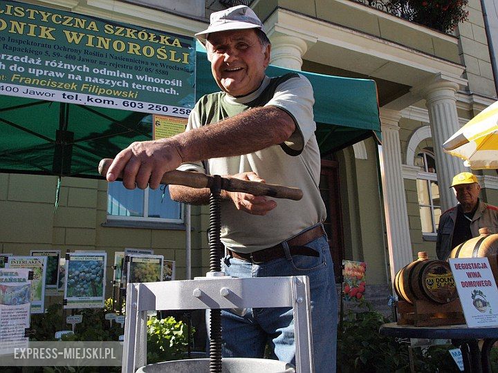 Święto Wina w Środzie Śląskiej 