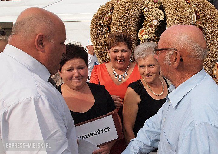 Dożynki wojewódzkiej 2013