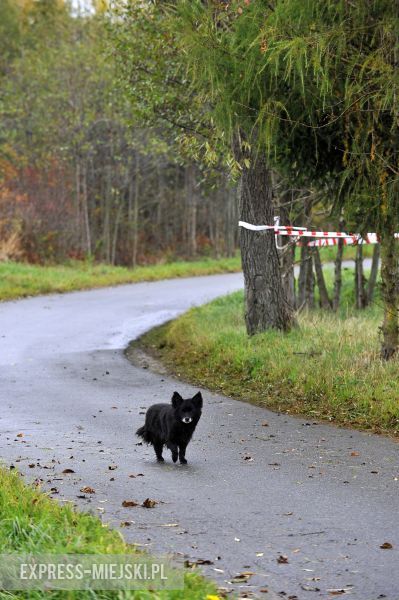 Jazdy testowe Rajdu Dolnośląskiego
