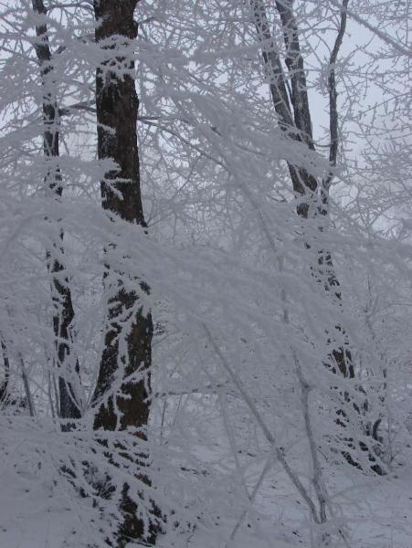 Srebrna Góra w zimie