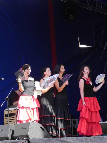 Święto Wina w Środzie Śląskiej 2011